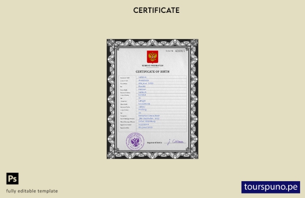 listo para imprimir plantilla PSD del certificado de nacimiento del registro c 7
